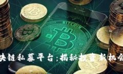 全球区块链私募平台:揭秘投资新机会与风险
