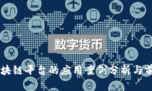 布比区块链平台的应用案例分析与前景展望