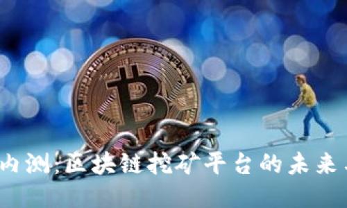 11月内测:区块链挖矿平台的未来与潜力