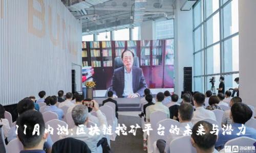11月内测:区块链挖矿平台的未来与潜力