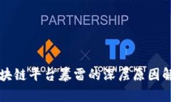 区块链平台暴雷的深层原因解析
