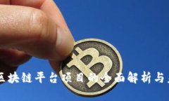 新加坡区块链平台项目的全面解析与未来展望