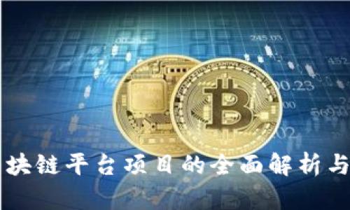 新加坡区块链平台项目的全面解析与未来展望