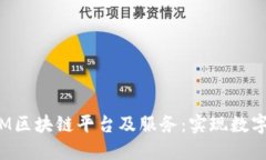 深入了解IBM区块链平台及服务:实现数字转型的