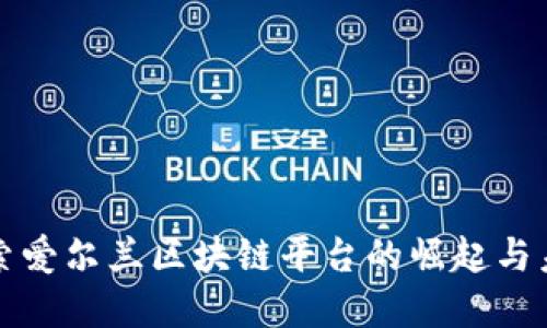 深入探索爱尔兰区块链平台的崛起与未来发展