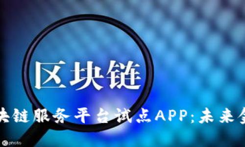 跨境金融区块链服务平台试点APP:未来金融的新模式