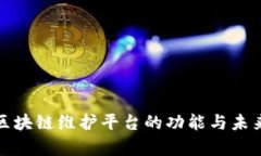 深入解析区块链维护平台的功能与未来发展趋势