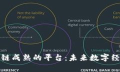探索区块链成熟的平台:未来数字经济的基石