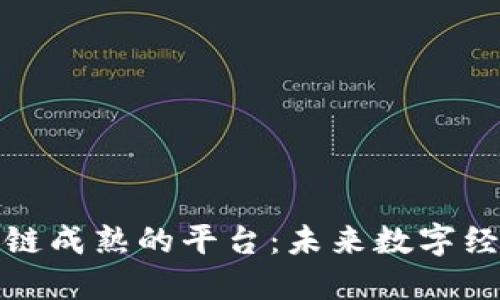探索区块链成熟的平台:未来数字经济的基石