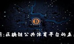 全面解析:区块链公共体育平台的未来与应用