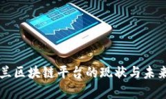 乌克兰区块链平台的现状与未来发展