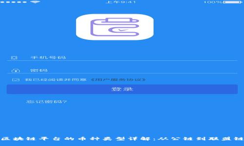 区块链平台的币种类型详解:从公链到联盟链