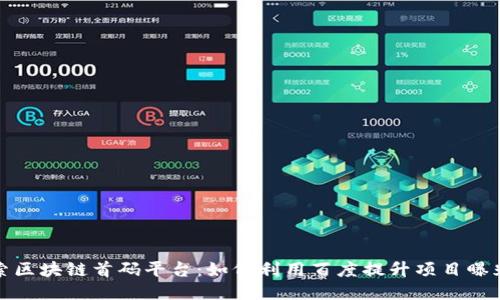 探索区块链首码平台:如何利用百度提升项目曝光度