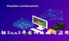 区块链SaaS平台的攻略与应用分析