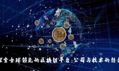 探索全球领先的区块链平台:公司与技术的结合