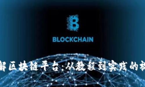深入了解区块链平台:从教程到实践的视频资源
