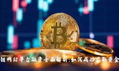 区块链网站平台融资全面解析:如何成功获取资