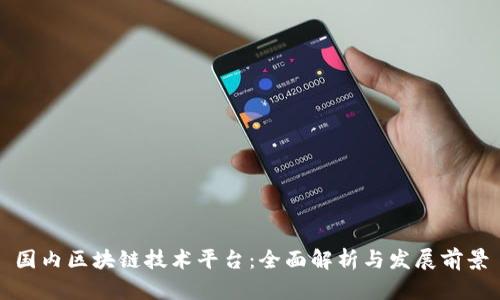 国内区块链技术平台:全面解析与发展前景