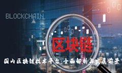 国内区块链技术平台:全面解析与发展前景