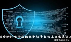 : 探索浙江电子区块链取证平台的未来发展与应用