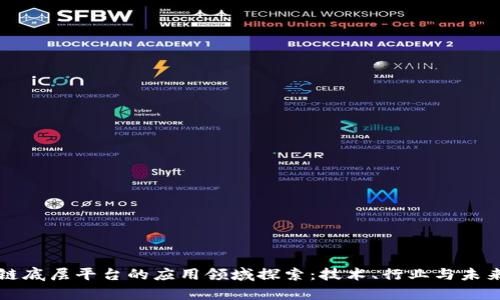 区块链底层平台的应用领域探索:技术、行业与未来前景