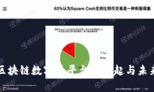 众筹区块链数字币平台的崛起与未来发展