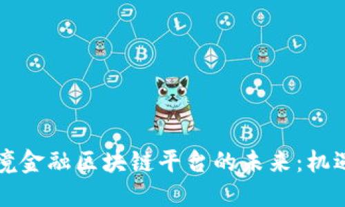 国际跨境金融区块链平台的未来:机遇与挑战