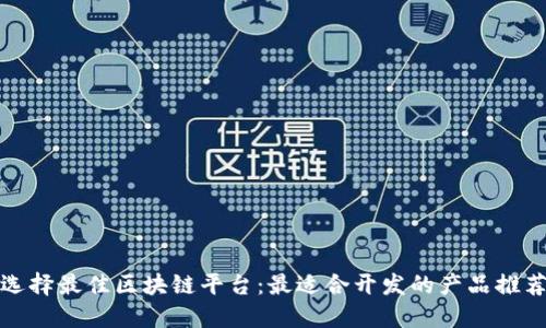 选择最佳区块链平台:最适合开发的产品推荐