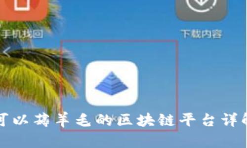 可以薅羊毛的区块链平台详解
