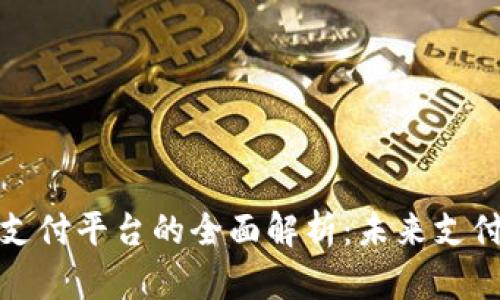 区块链公共支付平台的全面解析:未来支付的核心理念