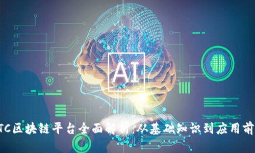 ETC区块链平台全面解析:从基础知识到应用前景