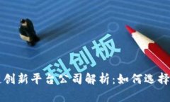 区块链创新平台公司解析:如何选择与评估