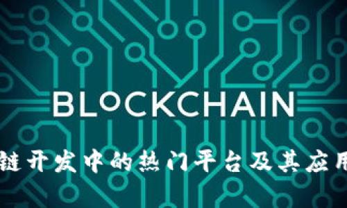 区块链开发中的热门平台及其应用解析