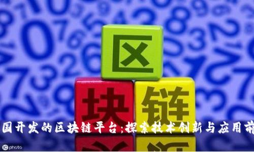 中国开发的区块链平台:探索技术创新与应用前景