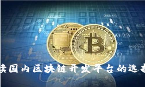 全面解读国内区块链开发平台的选择与应用