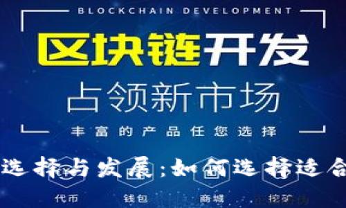 区块链平台的选择与发展:如何选择适合的区块链平台