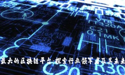 中国最大的区块链平台:探索行业领军者及其未来发展