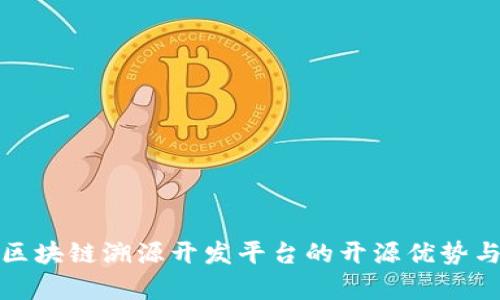 全面解析区块链溯源开发平台的开源优势与应用前景