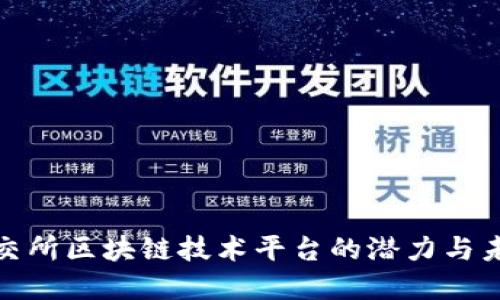 探索保交所区块链技术平台的潜力与未来发展