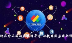 如何有效区分不同的区块链平台:从技术到应用