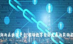 湖北区块链平台:推动数字经济发展的新动能