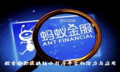 探索安徽区块链小程序平台的潜力与应用