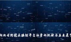 湖北省跨境区块链平台融资的现状与未来展望