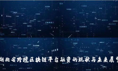 湖北省跨境区块链平台融资的现状与未来展望