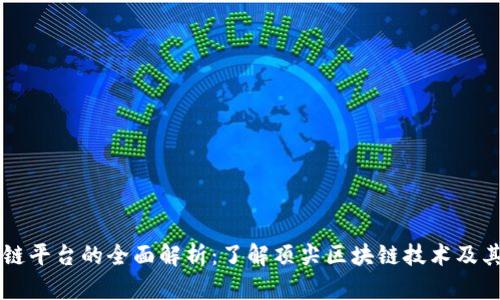 区块链平台的全面解析:了解顶尖区块链技术及其应用