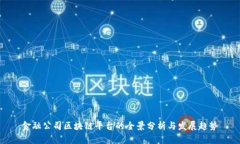 金融公司区块链平台的全景分析与发展趋势