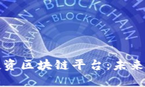 深入了解瑞波投资区块链平台：未来金融的变革之路